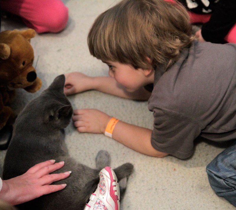 A child with brown hair in a gray shirt lies on a light carpet, reaching out to a gray cat.