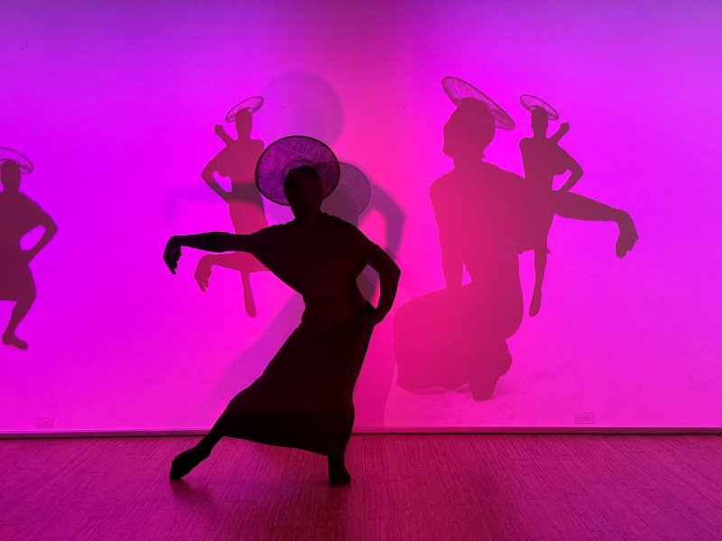 Silhouette of a figure in a wide-brimmed hat and long dress striking a pose against a bright pink wall with multiple shadow figures.