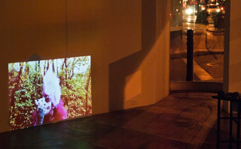 Video projection of a person with white hair and pink clothing in a forest, on a gallery wall.