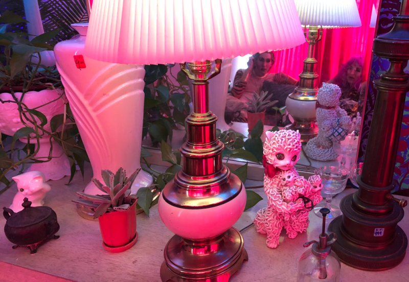 A still life of kitsch objects, including a pleated lamp, cat figurines, and plants, bathed in pink light.