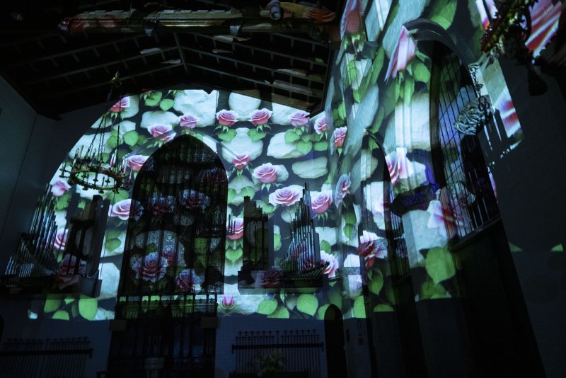 Projection of pink roses on light green leaves onto a dark church interior, highlighting arched windows and organ pipes.