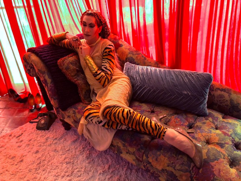 Person in tiger-print sleeves and leggings, and a gold dress, reclines on a patterned chaise lounge against red drapes.