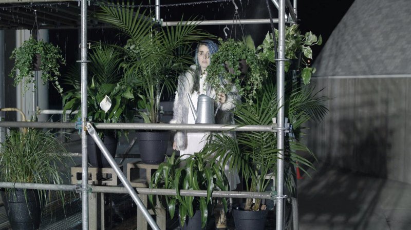 A woman with blue hair stands amidst a dense arrangement of potted plants within a metal scaffolding structure, holding a watering can.