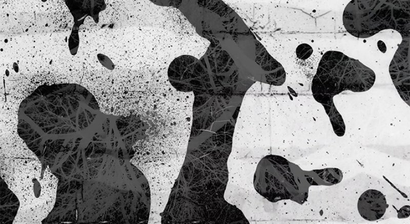 Abstract black and white artwork with splatters, drips, and organic shapes resembling silhouettes and tangled branches on a textured background.